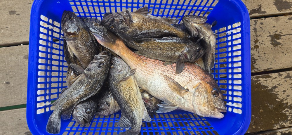 2b29a9c3a6714e674483ce7eb217d8a0_1783211332_9254.jpg