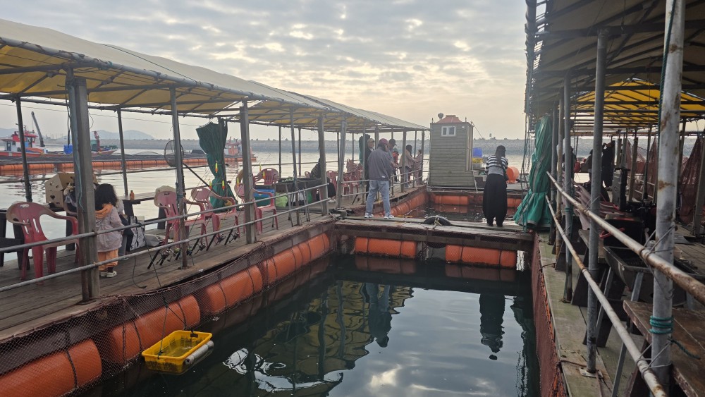 adbbe32a9b9df4145b8ccbcdceb8b30a_1791785141_377.jpg
